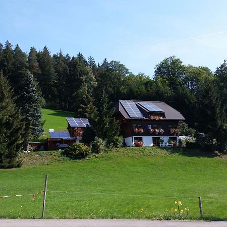 Gaestehaus Maria Brinkhus Διαμέρισμα Schonach im Schwarzwald Εξωτερικό φωτογραφία